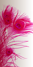 Load image into Gallery viewer, Peacock Shades of Pink - Silk Blend Scarf